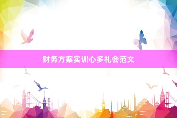 财务方案实训心多礼会范文