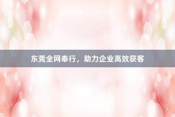 东莞全网奉行，助力企业高效获客