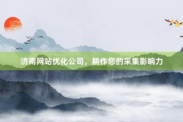 济南网站优化公司，耕作您的采集影响力