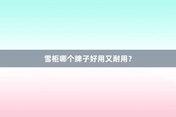 雪柜哪个牌子好用又耐用？