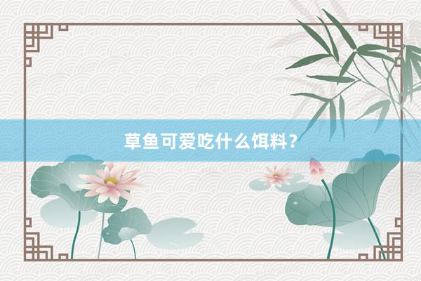 草鱼可爱吃什么饵料？